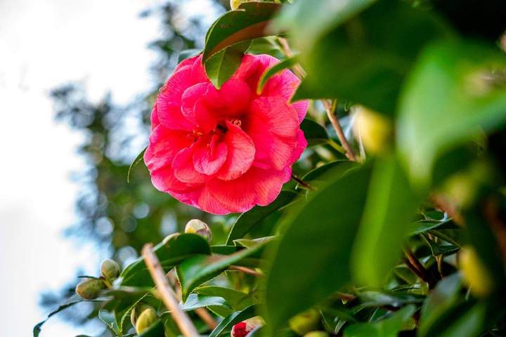 Un jardin à votre image, conçu par des professionnels