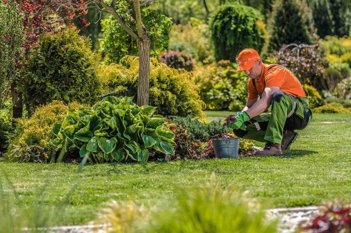 Service d’entretien de jardins Lourdes